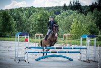 020CSO ST AULDE -PREPA 95 - TRIOMPHE DE POILLEY -1987 : 2 juillet 2016, 2016, AIRES Morgane, CSO Saint Aulde, P2, Prépa 95cm, TRIOMPHE DE POILLEY