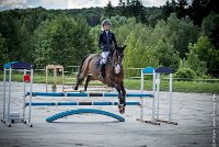 022CSO ST AULDE -PREPA 95 - TRIOMPHE DE POILLEY -1989 : 2 juillet 2016, 2016, AIRES Morgane, CSO Saint Aulde, P2, Prépa 95cm, TRIOMPHE DE POILLEY