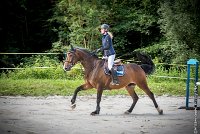 027CSO ST AULDE -PREPA 95 - TRIOMPHE DE POILLEY -1994 : 2 juillet 2016, 2016, AIRES Morgane, CSO Saint Aulde, P2, Prépa 95cm, TRIOMPHE DE POILLEY