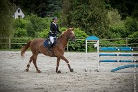 001CSO ST AULDE -GP  115 - TUCCIANNO D'AROUAISE -5978 : 2016, 3 juillet 2016, CSO Saint Aulde, Grand Prix 115cm, PARIZOT Vincent, TUCCIANNO D'AROUAISE