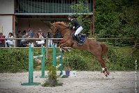 012CSO ST AULDE -GP  115 - TUCCIANNO D'AROUAISE -5989 : 2016, 3 juillet 2016, CSO Saint Aulde, Grand Prix 115cm, PARIZOT Vincent, TUCCIANNO D'AROUAISE