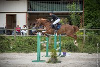 013CSO ST AULDE -GP  115 - TUCCIANNO D'AROUAISE -5990 : 2016, 3 juillet 2016, CSO Saint Aulde, Grand Prix 115cm, PARIZOT Vincent, TUCCIANNO D'AROUAISE