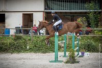 014CSO ST AULDE -GP  115 - TUCCIANNO D'AROUAISE -5991 : 2016, 3 juillet 2016, CSO Saint Aulde, Grand Prix 115cm, PARIZOT Vincent, TUCCIANNO D'AROUAISE