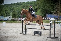 020CSO ST AULDE -GP  115 - TUCCIANNO D'AROUAISE -5997 : 2016, 3 juillet 2016, CSO Saint Aulde, Grand Prix 115cm, PARIZOT Vincent, TUCCIANNO D'AROUAISE