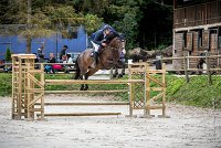 0005CSO SAINT AULDE- GP 125 - UNBANDICOUTE 0025GP125CSO 6471- : 2016, 3 juillet 2016, BRIDOUX Thibault, CSO Saint Aulde, Grand Prix 125cm, UNBANDICOUTE