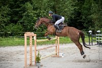 0007CSO SAINT AULDE - GP 130 - UNEASY TAME 0195CSO Saint Aulde GP 130CSO 3789- : 2 juillet 2016, 2016, CSO Saint Aulde, Grand prix 130cm, P9, TROISLOUCHE Amael, UNEASY TAME