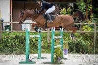 0008CSO SAINT AULDE - GP 130 - UNEASY TAME 0196CSO Saint Aulde GP 130CSO 3790- : 2 juillet 2016, 2016, CSO Saint Aulde, Grand prix 130cm, P9, TROISLOUCHE Amael, UNEASY TAME