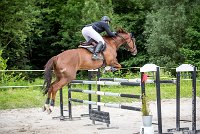 0014CSO SAINT AULDE - GP 130 - UNEASY TAME 0201CSO Saint Aulde GP 130CSO 3796- : 2 juillet 2016, 2016, CSO Saint Aulde, Grand prix 130cm, P9, TROISLOUCHE Amael, UNEASY TAME