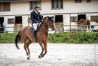 0020CSO SAINT AULDE - GP 130 - UNEASY TAME 0208CSO Saint Aulde GP 130CSO 3802- : 2 juillet 2016, 2016, CSO Saint Aulde, Grand prix 130cm, P9, TROISLOUCHE Amael, UNEASY TAME