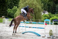 0021CSO SAINT AULDE - GP 130 - UNEASY TAME 0210CSO Saint Aulde GP 130CSO 3803- : 2 juillet 2016, 2016, CSO Saint Aulde, Grand prix 130cm, P9, TROISLOUCHE Amael, UNEASY TAME