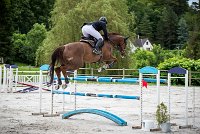 0022CSO SAINT AULDE - GP 130 - UNEASY TAME 0209CSO Saint Aulde GP 130CSO 3804- : 2 juillet 2016, 2016, CSO Saint Aulde, Grand prix 130cm, P9, TROISLOUCHE Amael, UNEASY TAME