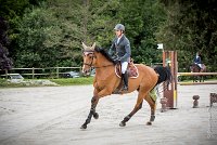 0004CSO SAINT AULDE - GP 130 - URLANDO 0004CSO Saint Aulde GP 130CSO 3598- : 2 juillet 2016, 2016, CSO Saint Aulde, Grand prix 130cm, P1, URLANDO DE COQUERIE, VILAIN Régis