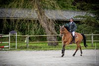 0006CSO SAINT AULDE - GP 130 - URLANDO 0006CSO Saint Aulde GP 130CSO 3600- : 2 juillet 2016, 2016, CSO Saint Aulde, Grand prix 130cm, P1, URLANDO DE COQUERIE, VILAIN Régis