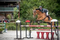 0007CSO SAINT AULDE - GP 130 - URLANDO 0007CSO Saint Aulde GP 130CSO 3601- : 2 juillet 2016, 2016, CSO Saint Aulde, Grand prix 130cm, P1, URLANDO DE COQUERIE, VILAIN Régis