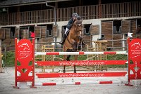 0014CSO SAINT AULDE - GP 130 - URLANDO 0016CSO Saint Aulde GP 130CSO 3609- : 2 juillet 2016, 2016, CSO Saint Aulde, Grand prix 130cm, P1, URLANDO DE COQUERIE, VILAIN Régis