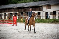 0017CSO SAINT AULDE - GP 130 - URLANDO 0018CSO Saint Aulde GP 130CSO 3612- : 2 juillet 2016, 2016, CSO Saint Aulde, Grand prix 130cm, P1, URLANDO DE COQUERIE, VILAIN Régis