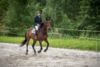 CSO SAINT AULDE - GP 115  - VAUCEL DE LIANCOURT -1 : 2016, 3 juillet 2016, AUBAS Lucie, CSO Saint Aulde, Grand Prix 115cm, VAUCEL DE LIANCOURT