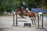 CSO SAINT AULDE - GP 115  - VAUCEL DE LIANCOURT -12 : 2016, 3 juillet 2016, AUBAS Lucie, CSO Saint Aulde, Grand Prix 115cm, VAUCEL DE LIANCOURT