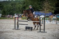 CSO SAINT AULDE - GP 115  - VAUCEL DE LIANCOURT -15 : 2016, 3 juillet 2016, AUBAS Lucie, CSO Saint Aulde, Grand Prix 115cm, VAUCEL DE LIANCOURT