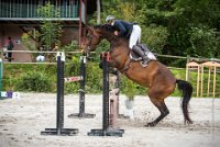 CSO SAINT AULDE - GP 115  - VAUCEL DE LIANCOURT -20 : 2016, 3 juillet 2016, AUBAS Lucie, CSO Saint Aulde, Grand Prix 115cm, VAUCEL DE LIANCOURT