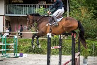 CSO SAINT AULDE - GP 115  - VAUCEL DE LIANCOURT -23 : 2016, 3 juillet 2016, AUBAS Lucie, CSO Saint Aulde, Grand Prix 115cm, VAUCEL DE LIANCOURT