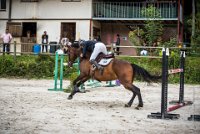 CSO SAINT AULDE - GP 115  - VAUCEL DE LIANCOURT -27 : 2016, 3 juillet 2016, AUBAS Lucie, CSO Saint Aulde, Grand Prix 115cm, VAUCEL DE LIANCOURT