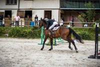 CSO SAINT AULDE - GP 115  - VAUCEL DE LIANCOURT -28 : 2016, 3 juillet 2016, AUBAS Lucie, CSO Saint Aulde, Grand Prix 115cm, VAUCEL DE LIANCOURT