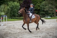 CSO SAINT AULDE - GP 115  - VAUCEL DE LIANCOURT -4 : 2016, 3 juillet 2016, AUBAS Lucie, CSO Saint Aulde, Grand Prix 115cm, VAUCEL DE LIANCOURT