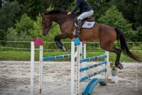 CSO SAINT AULDE - GP 115  - VAUCEL DE LIANCOURT -5 : 2016, 3 juillet 2016, AUBAS Lucie, CSO Saint Aulde, Grand Prix 115cm, VAUCEL DE LIANCOURT