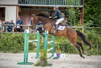 CSO SAINT AULDE - GP 115  - VAUCEL DE LIANCOURT -7 : 2016, 3 juillet 2016, AUBAS Lucie, CSO Saint Aulde, Grand Prix 115cm, VAUCEL DE LIANCOURT