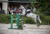 0008CSO SAINT AULDE- GP105 - VIVA VOCE 0384GP105CSO 5231- : 2016, 3 juillet 2016, CSO Saint Aulde, DUPUY Lauren, Grand Prix 105cm, VIVA VOCE