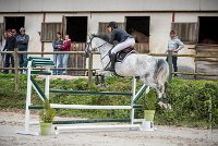 0010CSO SAINT AULDE- GP105 - VIVA VOCE 0386GP105CSO 5233- : 2016, 3 juillet 2016, CSO Saint Aulde, DUPUY Lauren, Grand Prix 105cm, VIVA VOCE