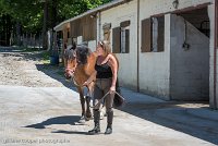 045 ECURIES LA GARENNE - ECURIES -GAL 0083 : 2017, 25 Mai 2017, Les écuries de la Garenne, PHOTO BOX