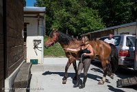 056 ECURIES LA GARENNE - ECURIES -GAL 0247 : 2017, 25 Mai 2017, Les écuries de la Garenne, PHOTO BOX