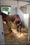 103 ECURIES LA GARENNE - ECURIES -GAL 0294 : 2017, 25 Mai 2017, Les écuries de la Garenne, PHOTO BOX