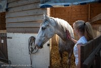 147 ECURIES LA GARENNE - ECURIES -GAL 0338 : 2017, 25 Mai 2017, Les écuries de la Garenne, PHOTO BOX