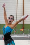 073 GROUPE 8 -07052017 Etoiles de Louvres - -AGI 1805 : 07 Mai 2017, 2017, GROUPE 8, GYMNASTIQUE ESTHETIQUE ET RYTHMIQUE, LES ETOILES DE LOUVRES