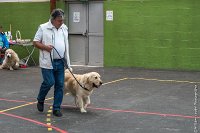 028-Nos animaux nous parlent--07052017 Etoiles de Louvres - -AGI 1299 : 07 Mai 2017, 2017, LES ETOILES DE LOUVRES, NOS ANIMAUX NOUS PARLENT