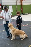 030-Nos animaux nous parlent--07052017 Etoiles de Louvres - -AGI 1302 : 07 Mai 2017, 2017, LES ETOILES DE LOUVRES, NOS ANIMAUX NOUS PARLENT