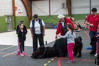 041-Nos animaux nous parlent--07052017 Etoiles de Louvres - -AGI 1319 : 07 Mai 2017, 2017, LES ETOILES DE LOUVRES, NOS ANIMAUX NOUS PARLENT