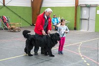 046-Nos animaux nous parlent--07052017 Etoiles de Louvres - -AGI 1325 : 07 Mai 2017, 2017, LES ETOILES DE LOUVRES, NOS ANIMAUX NOUS PARLENT