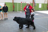 047-Nos animaux nous parlent--07052017 Etoiles de Louvres - -AGI 1327 : 07 Mai 2017, 2017, LES ETOILES DE LOUVRES, NOS ANIMAUX NOUS PARLENT