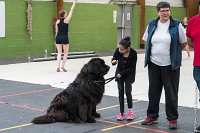 049-Nos animaux nous parlent--07052017 Etoiles de Louvres - -AGI 1330 : 07 Mai 2017, 2017, LES ETOILES DE LOUVRES, NOS ANIMAUX NOUS PARLENT