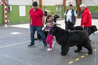 050-Nos animaux nous parlent--07052017 Etoiles de Louvres - -AGI 1333 : 07 Mai 2017, 2017, LES ETOILES DE LOUVRES, NOS ANIMAUX NOUS PARLENT