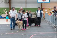 090-Nos animaux nous parlent--07052017 Etoiles de Louvres - -AGI 1387 : 07 Mai 2017, 2017, LES ETOILES DE LOUVRES, NOS ANIMAUX NOUS PARLENT