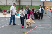 091-Nos animaux nous parlent--07052017 Etoiles de Louvres - -AGI 1388 : 07 Mai 2017, 2017, LES ETOILES DE LOUVRES, NOS ANIMAUX NOUS PARLENT