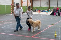 092-Nos animaux nous parlent--07052017 Etoiles de Louvres - -AGI 1390 : 07 Mai 2017, 2017, LES ETOILES DE LOUVRES, NOS ANIMAUX NOUS PARLENT