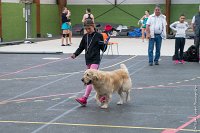 094-Nos animaux nous parlent--07052017 Etoiles de Louvres - -AGI 1394 : 07 Mai 2017, 2017, LES ETOILES DE LOUVRES, NOS ANIMAUX NOUS PARLENT