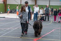 096-Nos animaux nous parlent--07052017 Etoiles de Louvres - -AGI 1396 : 07 Mai 2017, 2017, LES ETOILES DE LOUVRES, NOS ANIMAUX NOUS PARLENT