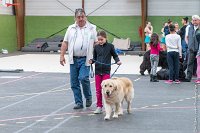 097-Nos animaux nous parlent--07052017 Etoiles de Louvres - -AGI 1398 : 07 Mai 2017, 2017, LES ETOILES DE LOUVRES, NOS ANIMAUX NOUS PARLENT